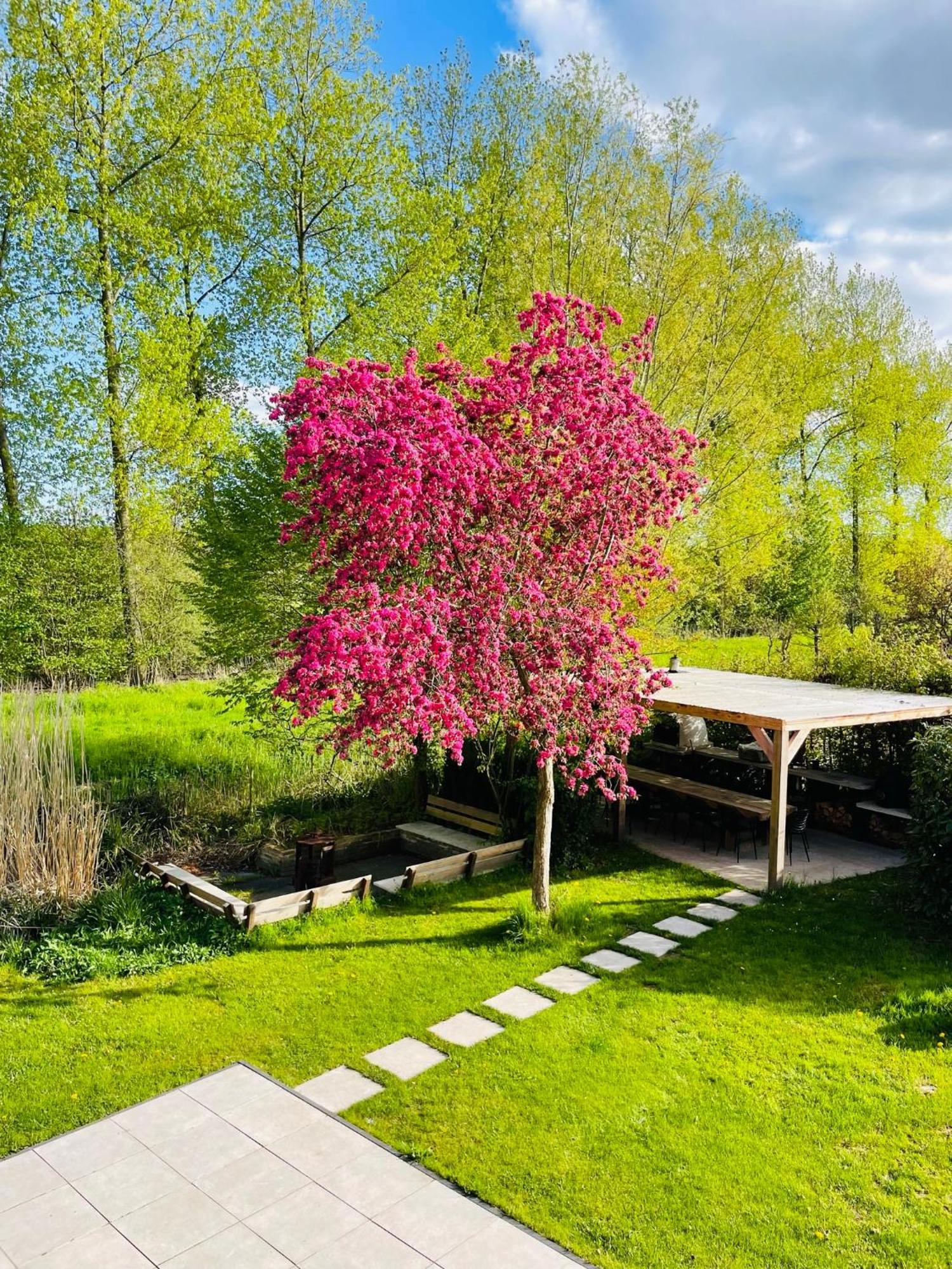 Villa Calma Rust Ruimte Luxe Inclusief Private Jacuzzi Zeewolde Exterior foto